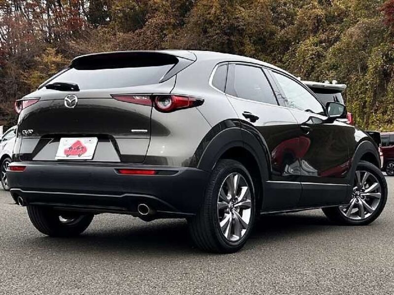 CX-30