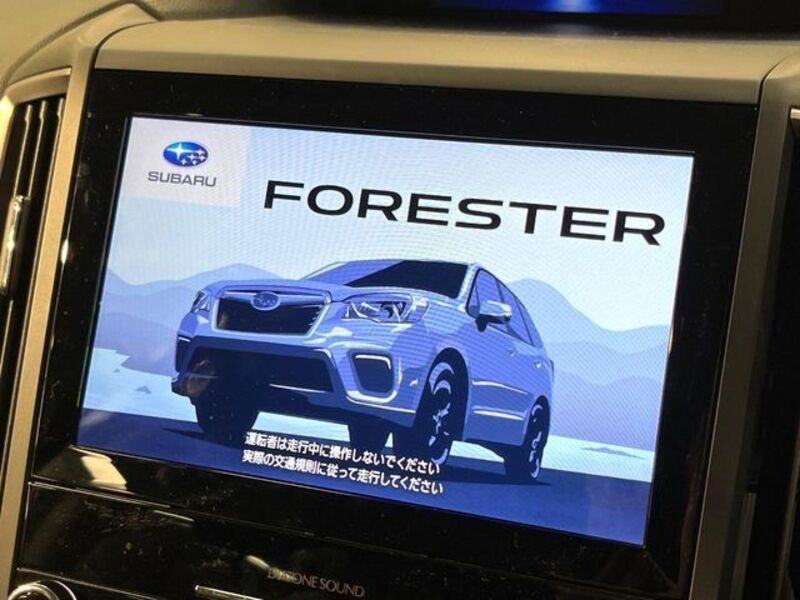 FORESTER
