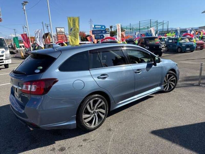 LEVORG