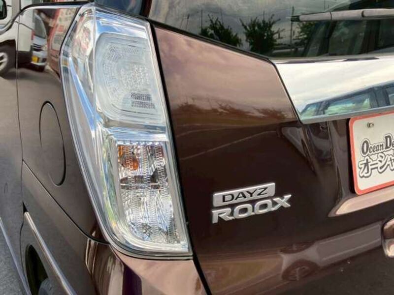 DAYZ ROOX