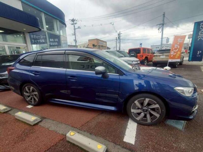 LEVORG