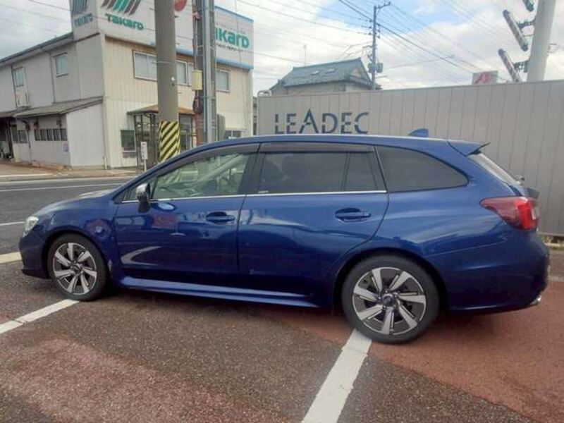 LEVORG