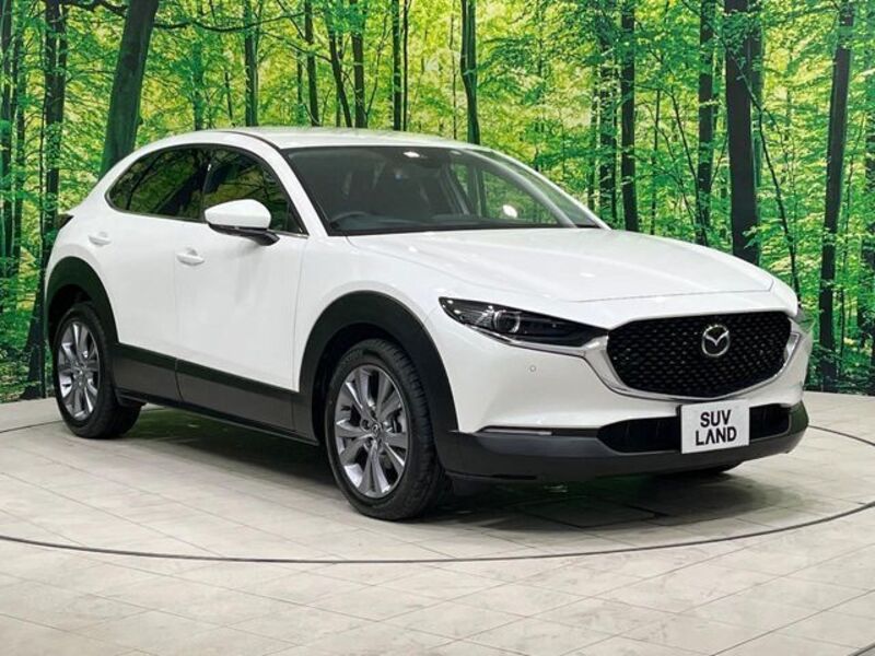 CX-30