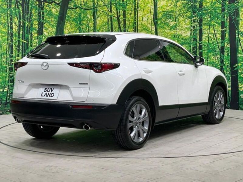 CX-30