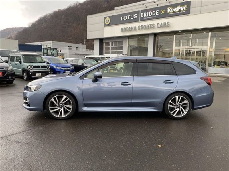 LEVORG