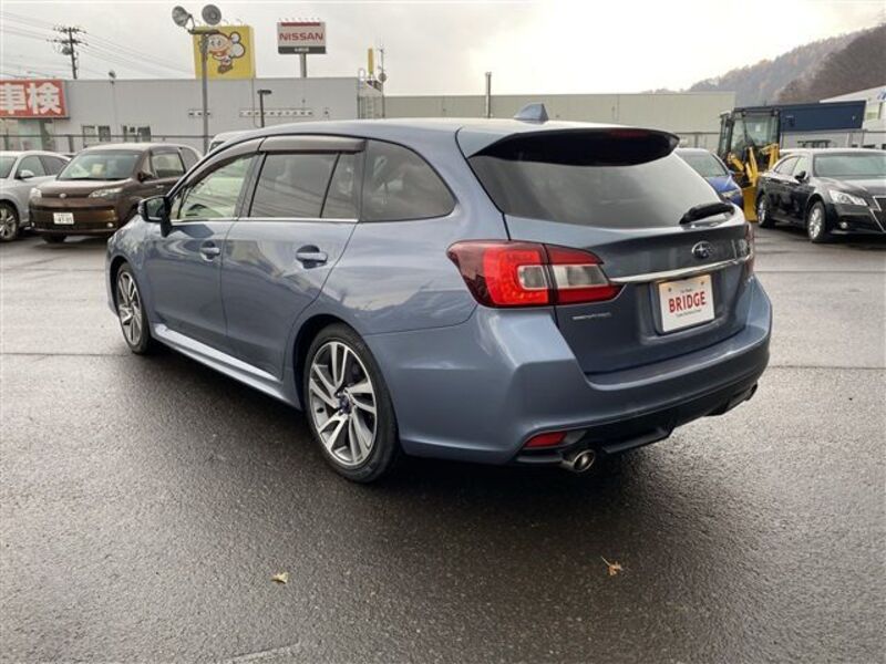 LEVORG