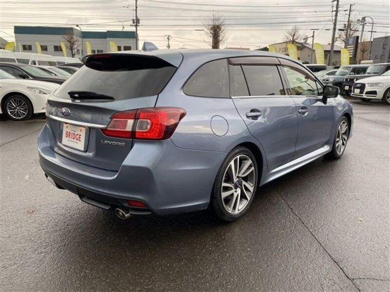 LEVORG