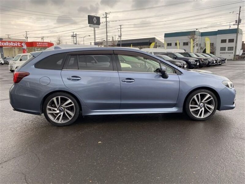 LEVORG