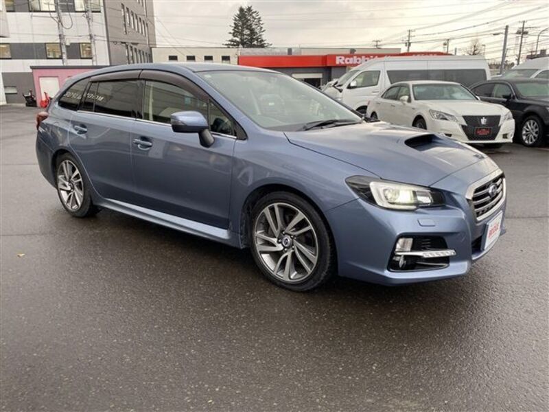 LEVORG