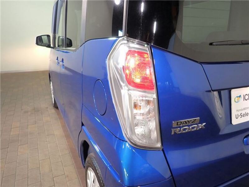 DAYZ ROOX
