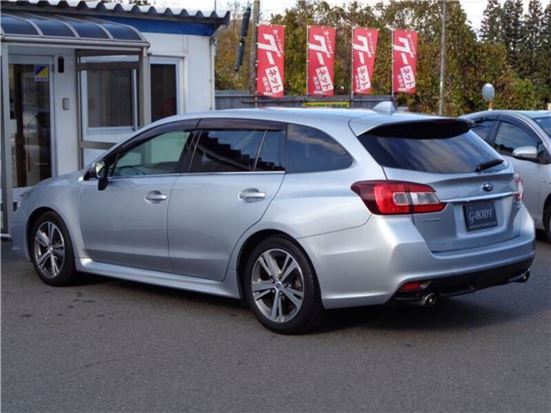 LEVORG