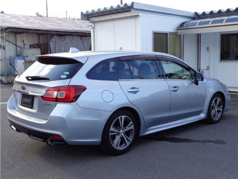 LEVORG