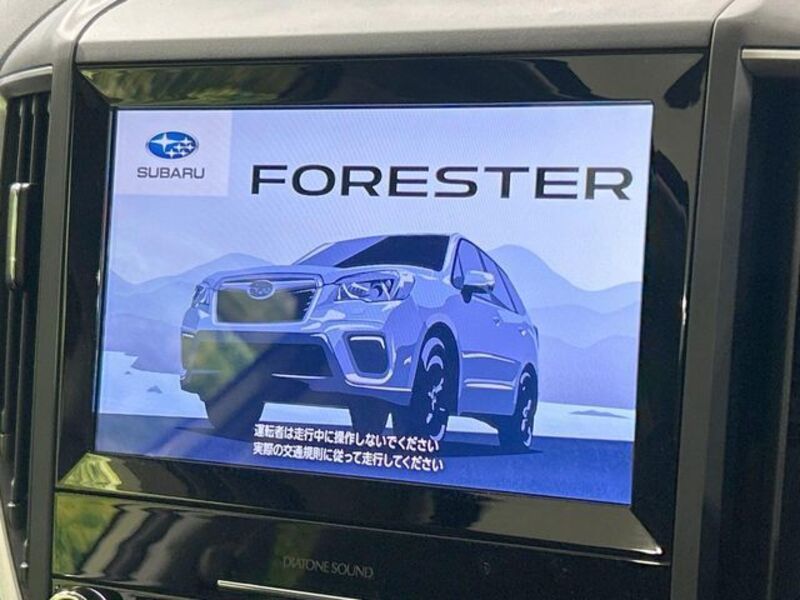 FORESTER