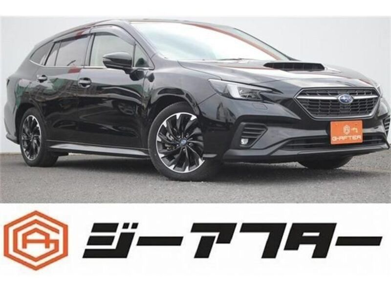 LEVORG-0