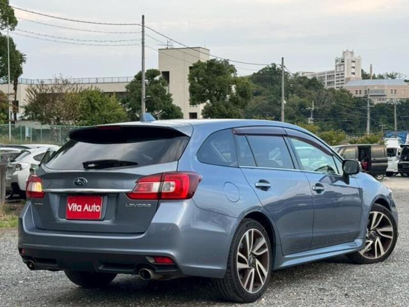 LEVORG