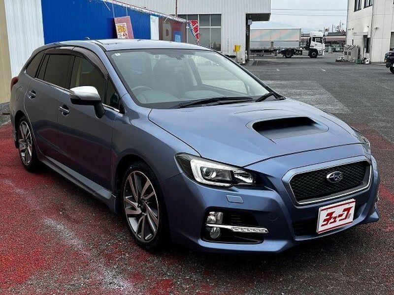 LEVORG