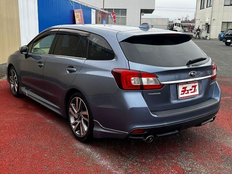 LEVORG
