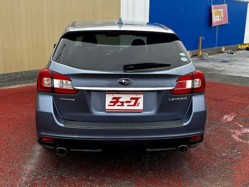 LEVORG