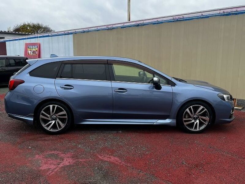 LEVORG