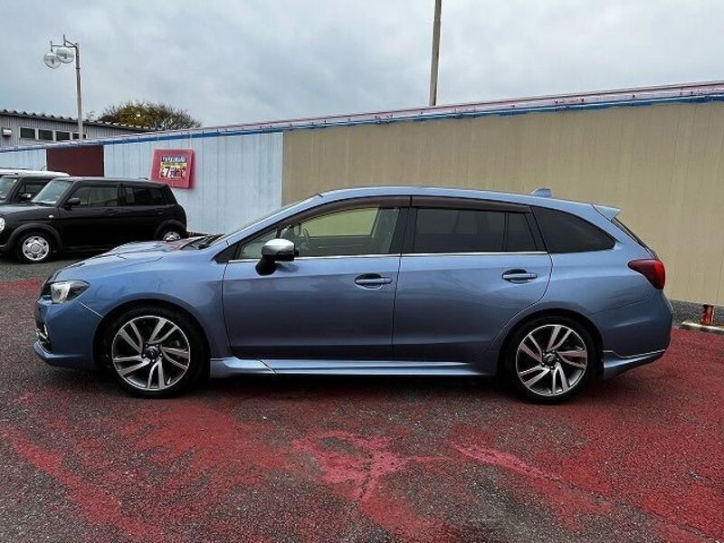 LEVORG
