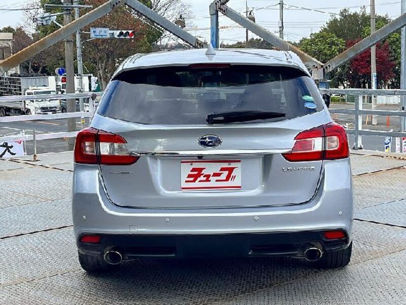LEVORG