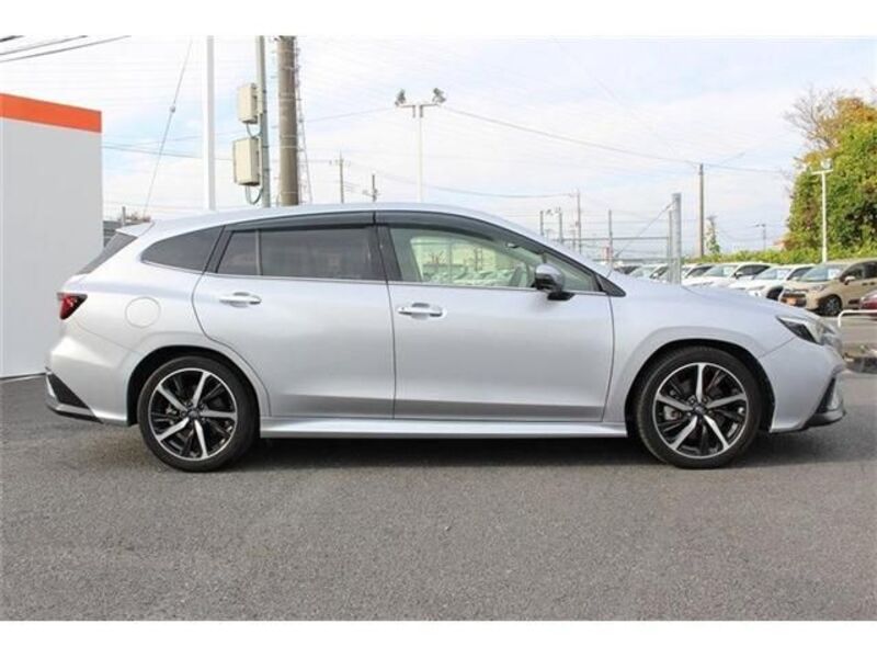 LEVORG