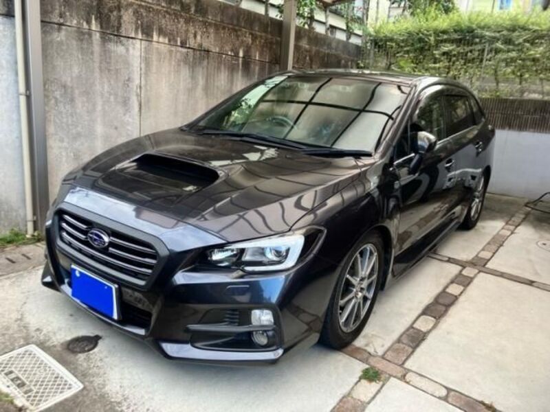 LEVORG