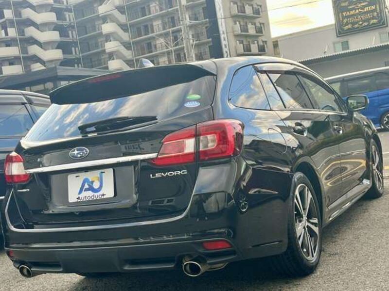 LEVORG