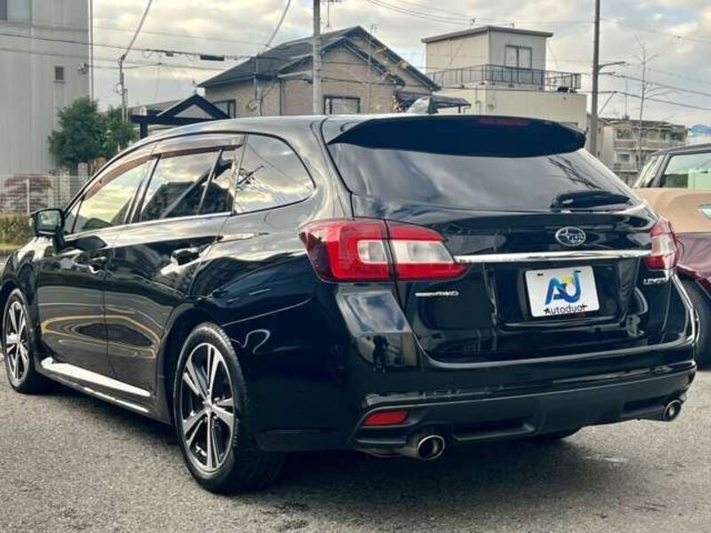 LEVORG