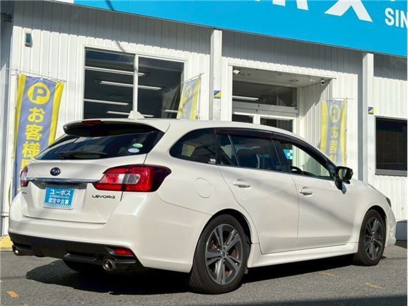LEVORG