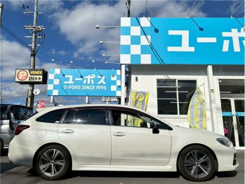 LEVORG