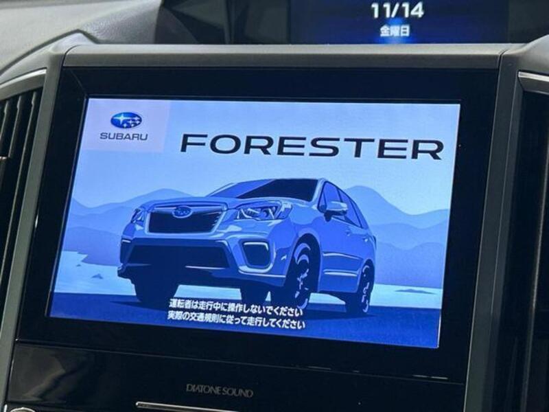FORESTER