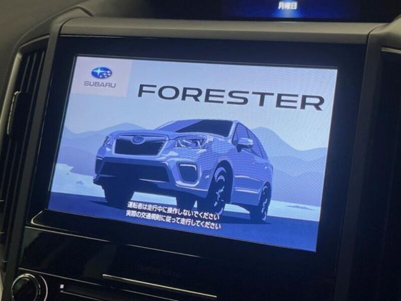 FORESTER