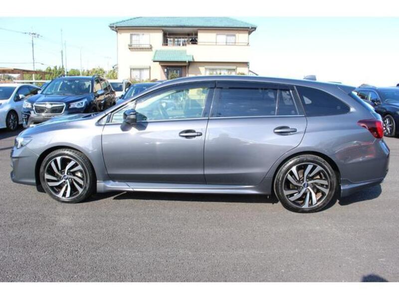 LEVORG