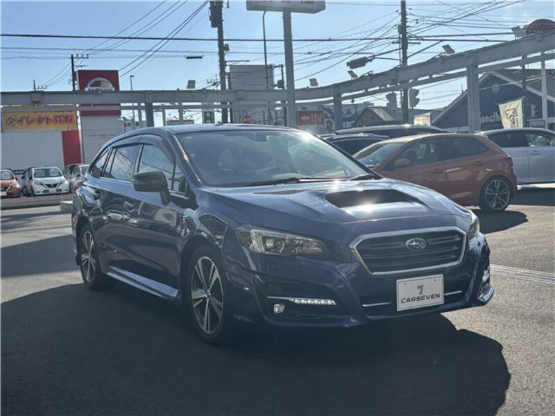LEVORG