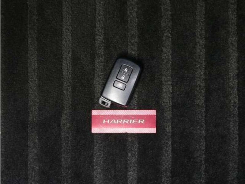 HARRIER