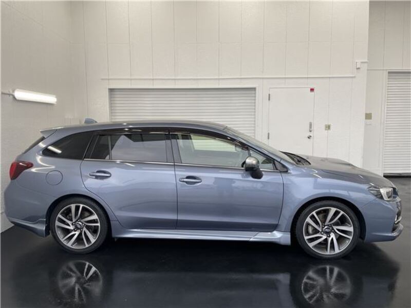 LEVORG
