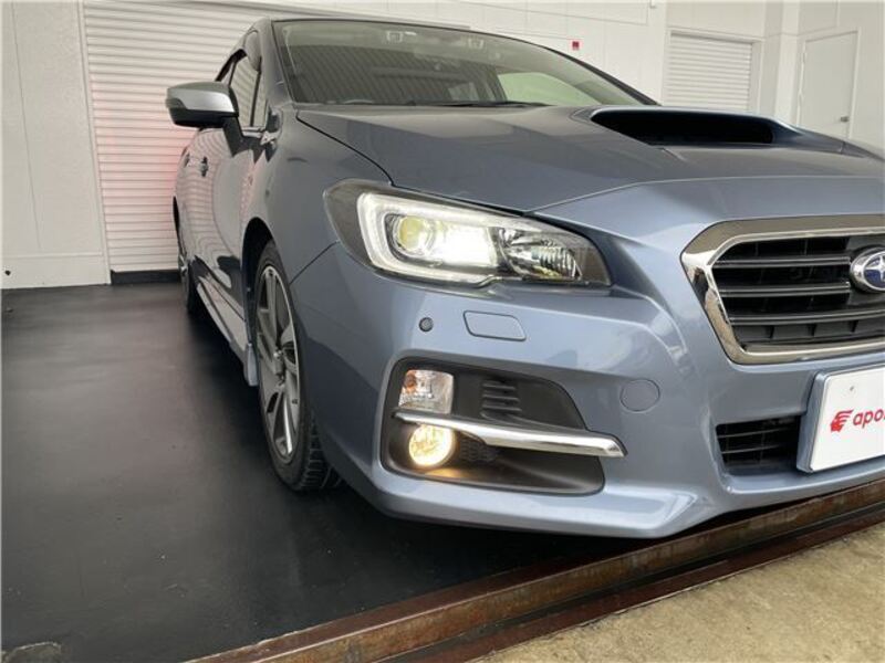 LEVORG
