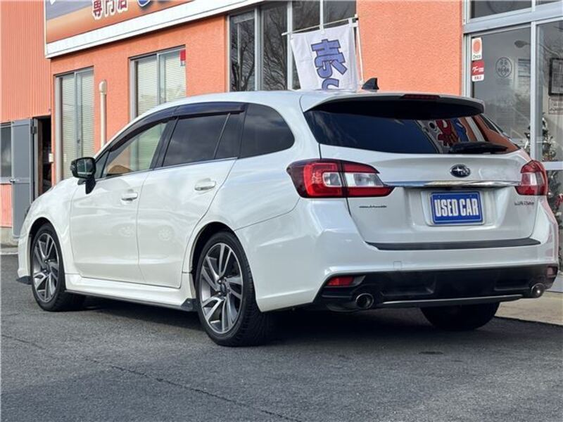 LEVORG