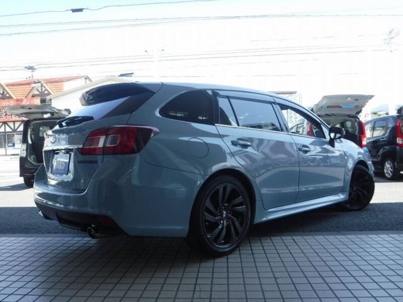LEVORG