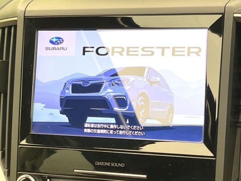 FORESTER