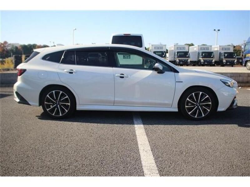 LEVORG