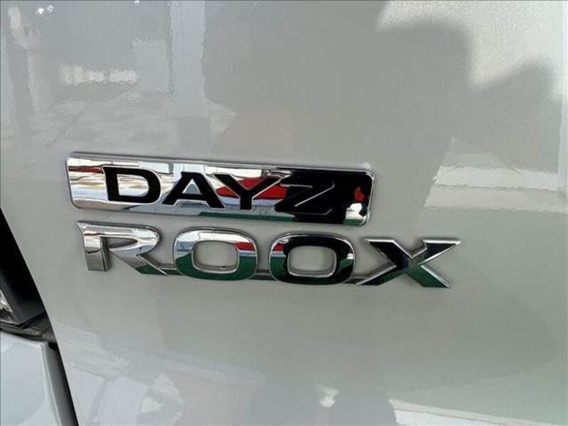 DAYZ ROOX