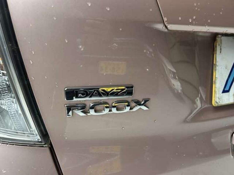 DAYZ ROOX
