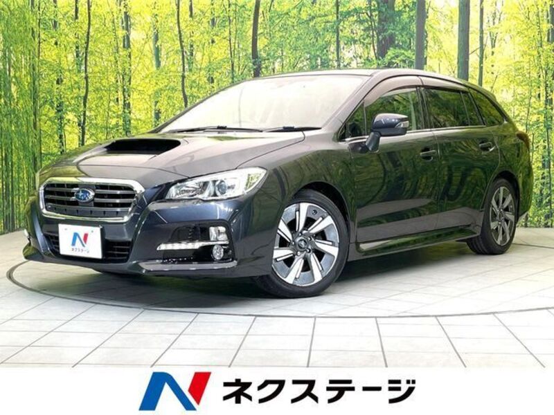 LEVORG-0