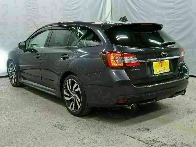 LEVORG