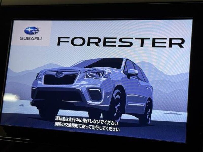 FORESTER