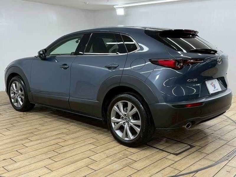 CX-30