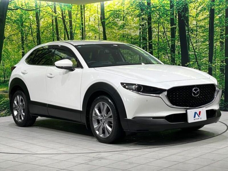 CX-30