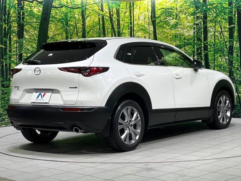 CX-30